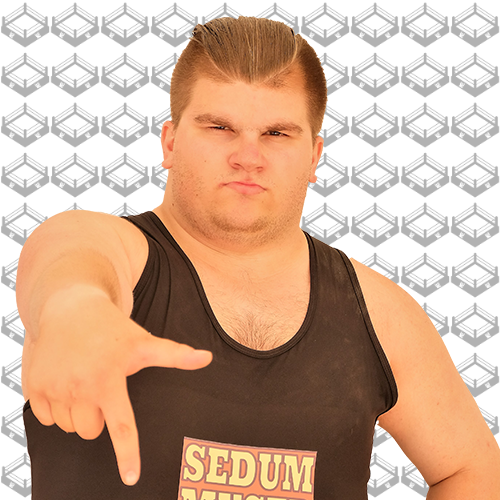 sedum mused sedum mused